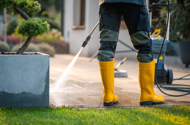 Best Deck Cleaning Services  in Worthington, KY